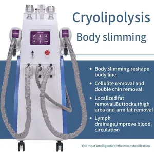 Professonal Cryolipolysis Fat Freeze Machine Midje Slimming Cavitation RF Lipo Laser 2 Cryo Heads kan fungera samtidigt