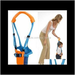 Walking Wings Safety Gear Baby ، Kids Dropern Drop Deliver