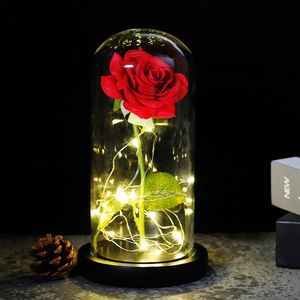 O presente do dia de Valentim beleza e a flor da besta aumentou na cúpula do vidro Decoração da lâmpada do diodo emissor de luz para a namorada