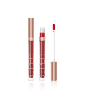 Partihandel Lip Gloss Flytande Läppstift Matte Lip Cosmetic Lightweight Glaze Långvarig Tint Vattentät 12 Färgläppar Möjliga verktyg