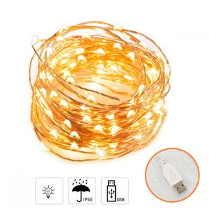 Strips Fairy Lights Copper Wire LED String Christmas Garland Indoor Bedroom Home Wedding Year Decoration USB PortLED