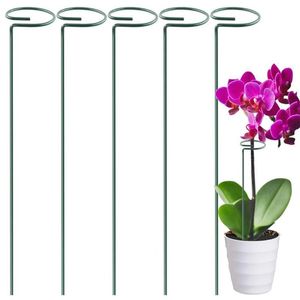 Other Garden Supplies 5Pcs Plant Climbing Support Iron Pole Flower Stake Tools Orchid Tomato Fixing Rod