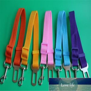 Dog Collars & Leashes Dogs Puppy Collar Leash Waterproof Lead Anti Dirty Easy To Clean For Big Small Pet Products Factory price expert design Quality Latest Style