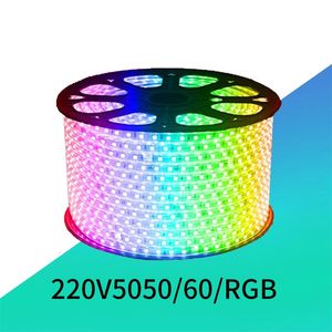 RGB AC 110 V LED Neon Burcu Şeridi Açık Su Geçirmez 5050 SMD Neon Halat Işık 60leds M Güç Kaynağı ile, 1 metre via kesilebilir