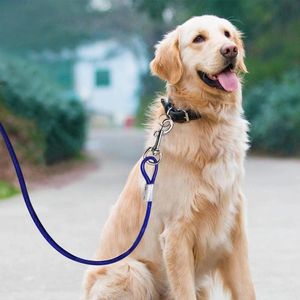 Köpek yaka tasmalar çift uçlu kanca köpekler tasma kravat kablo metal kanca kurşun pet tel çekme zinciri çiğneme dayanıklı uzun çelik ip