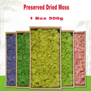 Preserved Moss Wall Decor Real Preserved Moss No Maintenance Required rally Preserved Moss Home Wall Party Festivals Crafts 210624