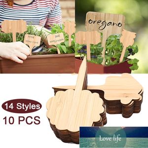 10 pcs cartão de flor suculenta cartões Paisagem placa de exibição de placa de bambu esculpida tags para plantas de flores de jardim