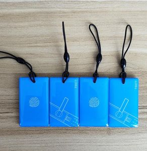 1000 pezzi Tag epossidici blu ID 125KHz T5577 Carta riscrivibile Duplicatore RFID Copia Clone Portachiavi Portachiavi impermeabile Badge Token Tag chiave