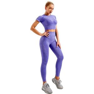 Frauen SeamlYoga Set Workout Sportswear Gym Kleidung FitnShort Sleeve Crop Top Hohe Taille Leggings Sport Anzüge X0629