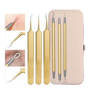 6 sztuk / zestaw Igła trądzika Przenośna Ekologiczna ze stali nierdzewnej Blackhead Remover Pimple Set dla Comedones