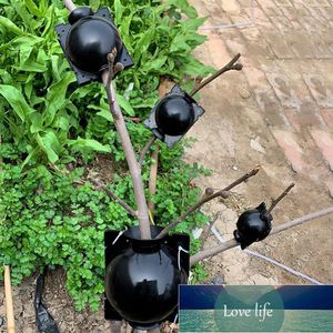 Dispositivo di radicazione delle piante Scatole a sfera per innesto ad alta pressione Custodia per allevamento in crescita Forniture per giardinaggio