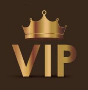 Ingrosso VIP Payment1111 Bambole peluche