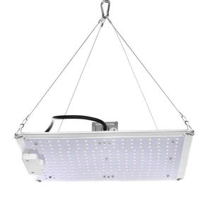 2021 Grow Light Wasserdichtes Vollspektrum-Wachstumslampen-Pflanzenlicht mit für den hydroponischen Indoor-Sämlings-Gemüse- und Blumen-Gewächshausanbau