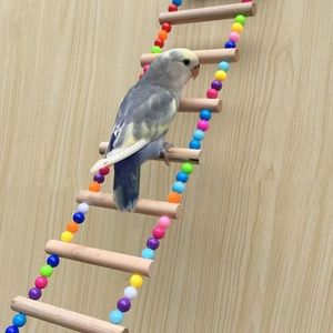 Other Bird Supplies Birds Pets Parrots Ladders Climbing Toy Hanging Colorful Balls With Natural Wood Toys