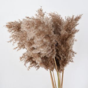 Pampas Grass Decor Pampa Tall Natural Large Fluffy Brown Stems for Flower Arrangements Wedding Home Beige Tall Dried Boho Decorations