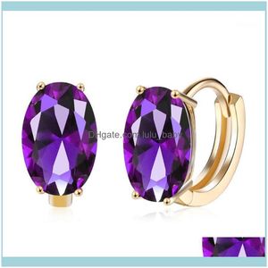 Hoop Jewelryhoop Hie Purple Austria Big Oval Crystal Earring Blue Cubic Zircon Pendientes llamativos para mujeres Compromiso Joyería de moda1 Dr