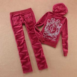 2021 Ny Slim Letter Print Two Piece Set Sportkläder Tracksuit Kvinnor Hooded Conjunto Feminino Zipper Sweatshirt Set Outfits x0721