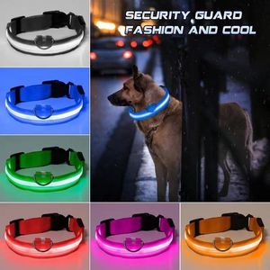 2022 Nylon LED Pet Collare per cani Sicurezza notturna Lampeggiante Glow In The Dark Guinzaglio per cani Cani Collari fluorescenti luminosi Forniture per animali domestici