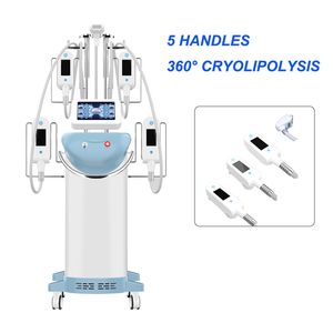 Cryolipolysis inovador 5 Cryo lida com gordura congelação Cryolipo Lysis Lise Lipoaspiração Body Freeze Equipamento Perder peso rápido