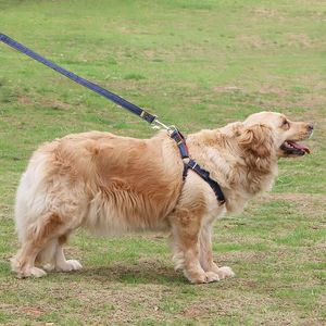 Collari per cani Guinzagli Cinghia toracica Corda di trazione Cani di piccola e media taglia Cowboy Walking RopeSet di collare al guinzaglio per cani Imbracatura per cuccioli