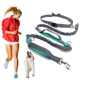 Pet Product Dog Leash Bieganie Pas Jogging Sport Regulowany Nylon Dog Lina z odblaskowym paskiem Pet Akcesoria Pet Hands Free 210824