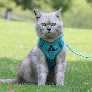 Dog Collar Leashes Pet Set Andningsbar Harness Leash Soft Texture Anti-Pull Stylish Dogs Cats Traction Rope