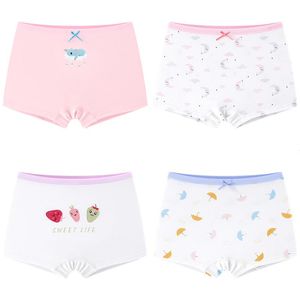 2pcs meninas cueca boxeador roxo azul branco algodão elástico calcinha de calcinha de 2 a 12 anos de roupa OGU213211