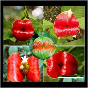 Other Red Lips Rare Pots Psycria Elata Flower Seeds Bag Bonsai Pot Plant For Home Garden Supplies I187 Itsoq Ehwf