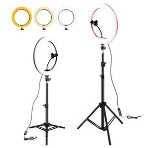 Iluminação de 13 polegadas Makeup Selfie LED Fill Light 33cm com titular do telefone Dimmable 3000-6000K anel kit de lâmpada para vídeo de estúdio de foto ao ar livre