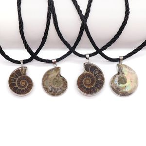 Wholesale mens seashell necklace for sale - Group buy High Quality Fashion Necklace Natural Ammonite Seashell Fossils Snail Pendants Ocean Conch Pendant For Women Men Pendulum Chains