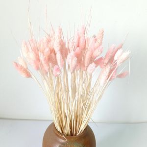 Decorative Flowers & Wreaths Dongli Natural Dried Tail Grass Preserved Pink Phalaris Bleached Canary Arundinacea