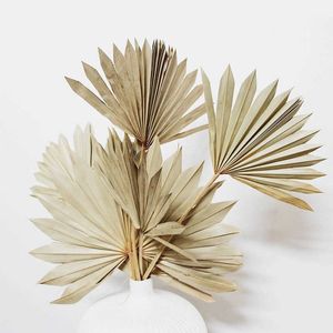 4pcs Natural Dried Palm Fan Leaves Boho Wedding Botanical Leaf Home Decor ing Fans White Spear 210624