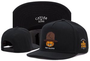 Cayler Sons czapka z daszkiem dopasowane czapki z daszkiem Hip Hop regulowane czapki męskie damskie czapki z daszkiem zaakceptuj Mix zamówienie za darmo NU4
