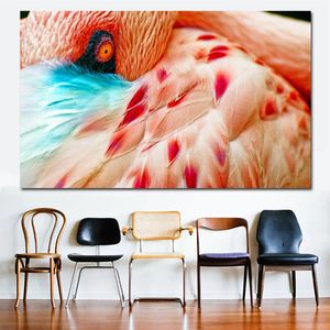 Moderne Kunst, Vogel, blaues Auge, Feder, Flamingo, Pastellrot, Bild, Druck, Leinwand, Poster, Wanddekoration, Gemälde