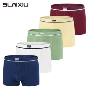 5 Teile/los Weiche Bio-baumwolle Jungen Kinder Unterwäsche Reine Farbe Baby Boxer Für 2-16y Shorts Höschen Kinder Teenager unterwäsche 211122