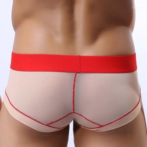 Underpants Men's Underwear Briefs Sexy Transparent Mesh Thin Section Mens Panties Gay Youth Low-waist U-convex Bikini Jockstrap