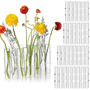 Nordic Creative Glass Vase Clear Test Tube Shape Flower Inomhus Utomhusplanter för Hydroponic Plants Desktop Decor 211215