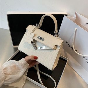 Steinmuster kleine Tasche Frauen Frühling und Sommer Mode ein Schulter Messenger Handtasche Trendy Style Tragbarer Mini -Geldbörse