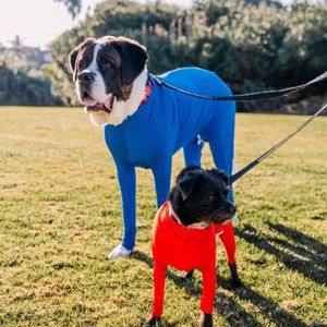 Dog Onesie - zawiera rzucanie włosów do domu, samochodu, podróży, lęku koszulę uspokajającej, odzyskiwania ciała kombinezonu, E Colla Apparel