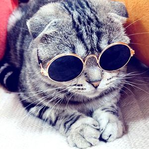 Andere Katzenversorgungen Produkte Schöne Vintage Runde Katzen Sonnenbrille Reflexion Eye Wear Brille für kleine Hundefotos Requisiten Zubehör