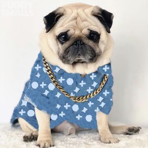 Blauer Haustiermantel, Jeansjacke, Jacquard-Buchstabe, Haustier-Shirt, Hundebekleidung, lässige Bulldoggen-Teddybär-Hundekleidung