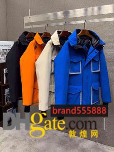Designer Luxury Big Penguin and Eagle Joint Limited Edition Men's and Women's Down Jackets