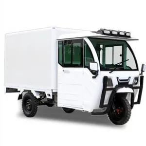 Mini Electric Utility Cargo Delivery Cars Enclosed Scooter Box Truck