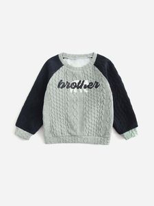 Toddler Boys 1 PC Niedźwiedź i List Graphic Cable Teksturowane bluza ona