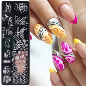 Wholesale stamping stainless steel for sale - Group buy Fruit Design Nail Stamping Plates Strawberry Lines Leaves Flower Design Image Stainless Steel Printing Template Plate GLSTZ FS03