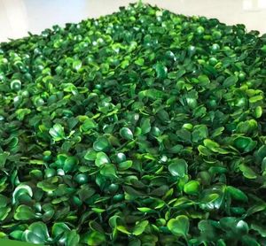Dekoratif Çiçek Çelenkleri Başına Çelenk Yapay Turf Halı Simülasyonu Plastik Şimşir Çim Mat 25cm Ev Bahçesi için Yeşil Çim