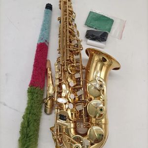 Gold Eb Professional Saksofon alto z tą samą strukturą R54 jeden do jednego Europejski rzemieślnik pozarty na złocie saksofon