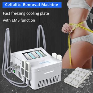 Big Power Portable Fat Freezing CryolipolyS Machine Four Cooling Pads Body Slimming Equipment Dubbel Chin
