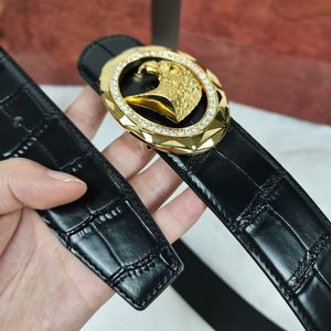 Luxury brand man belt designer crocodile Leather genuine Top quality belts official reproductions factory direct sales vintage retro classic style 3.8cm