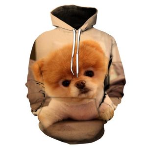 Men's Hoodies & Sweatshirts Sweatshirt Men Women 3D Print Chow Dog Animal Pattern Pullover Unisex Casual Creative Oversized